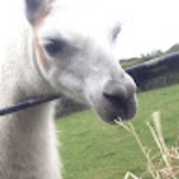 Meet your Posher, Cyber - Picture 1 of 1